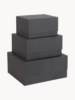 Discount Bigso Box of Sweden Boîtes de rangement Ilse, 3 élém. Anthracite