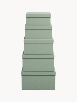 Fashion Bigso Box of Sweden Boîtes de rangement Joel, 5 élém. Vert sauge