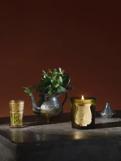 Best Trudon Bougie parfumée artisanale Spiritus Sancti Muguet