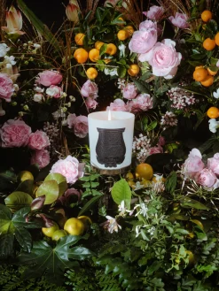 Fashion Trudon Bougie parfumée artisanale Rose Poivrée Ambre, palmarosa, rose
