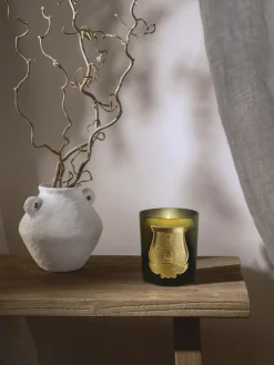 Best Trudon Bougie parfumée artisanale Ernesto Clou de girofle, labdanum, bois de chêne, patchouli