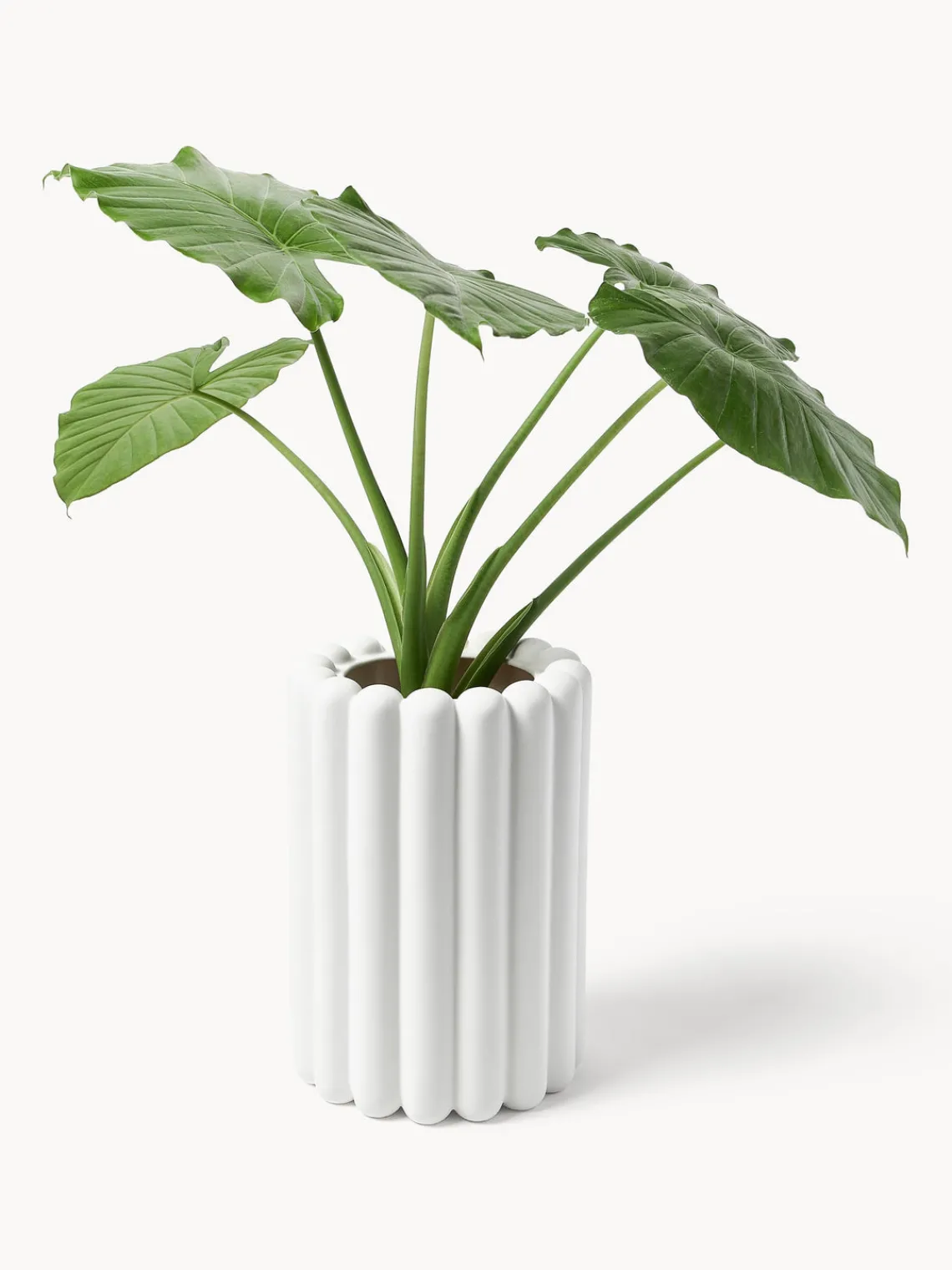 Discount DBKD Cache-pot Mist, larg. 27 cm Blanc, mat