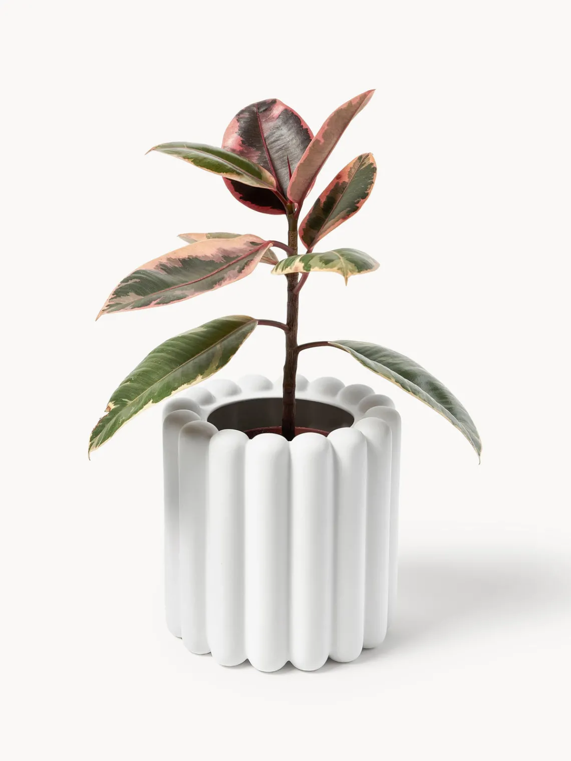 Hot DBKD Cache-pot Mist, larg. 19 cm