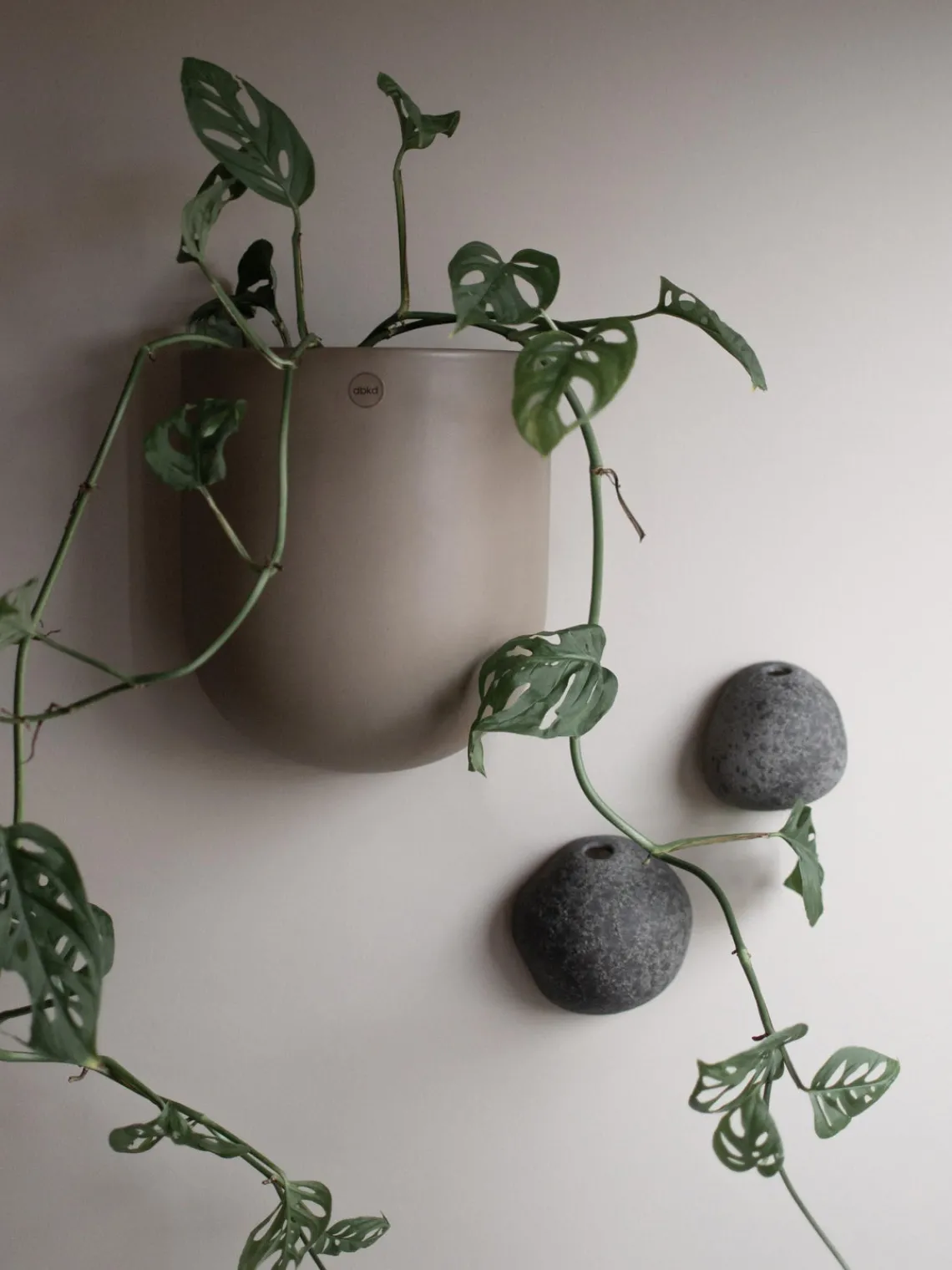 Online DBKD Cache-pot mural Cut, larg. 15 cm Taupe, mat