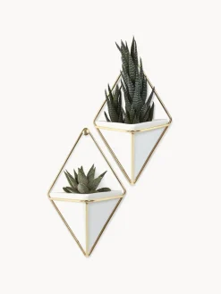 Fashion Umbra Cache-pots muraux Trigg, 2 pièces