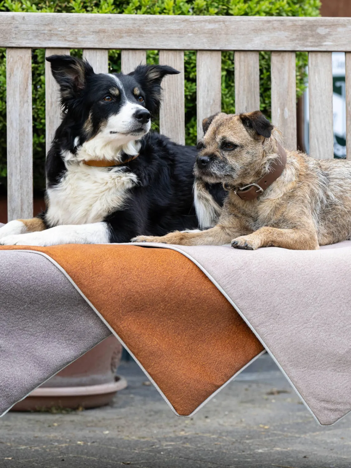 Best Laboni Couverture matelassée pour animaux domestiques avec dessous antidérapant Buffalo, tailles variées Mauve