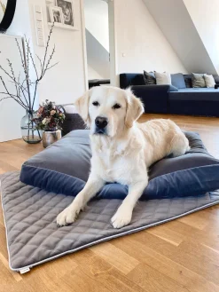Online Laboni Couverture pour animaux Oxford, tailles variées Grège, gris clair