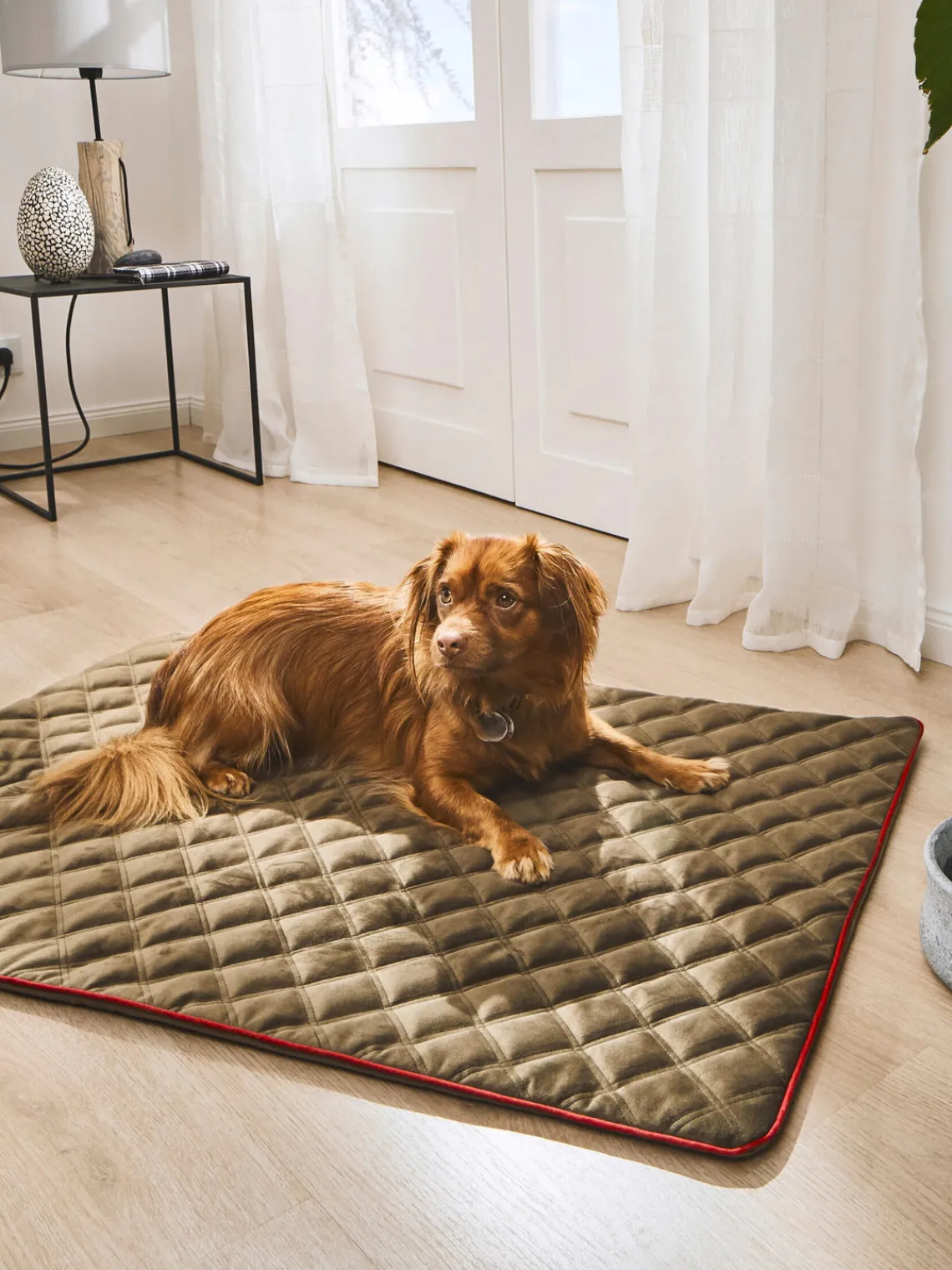 Fashion Laboni Couverture pour animaux Oxford, tailles variées Vert olive, lie de vin
