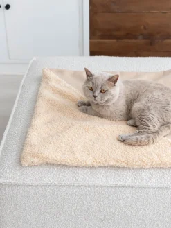 New Hoopo Couverture pour chat Tri Beige