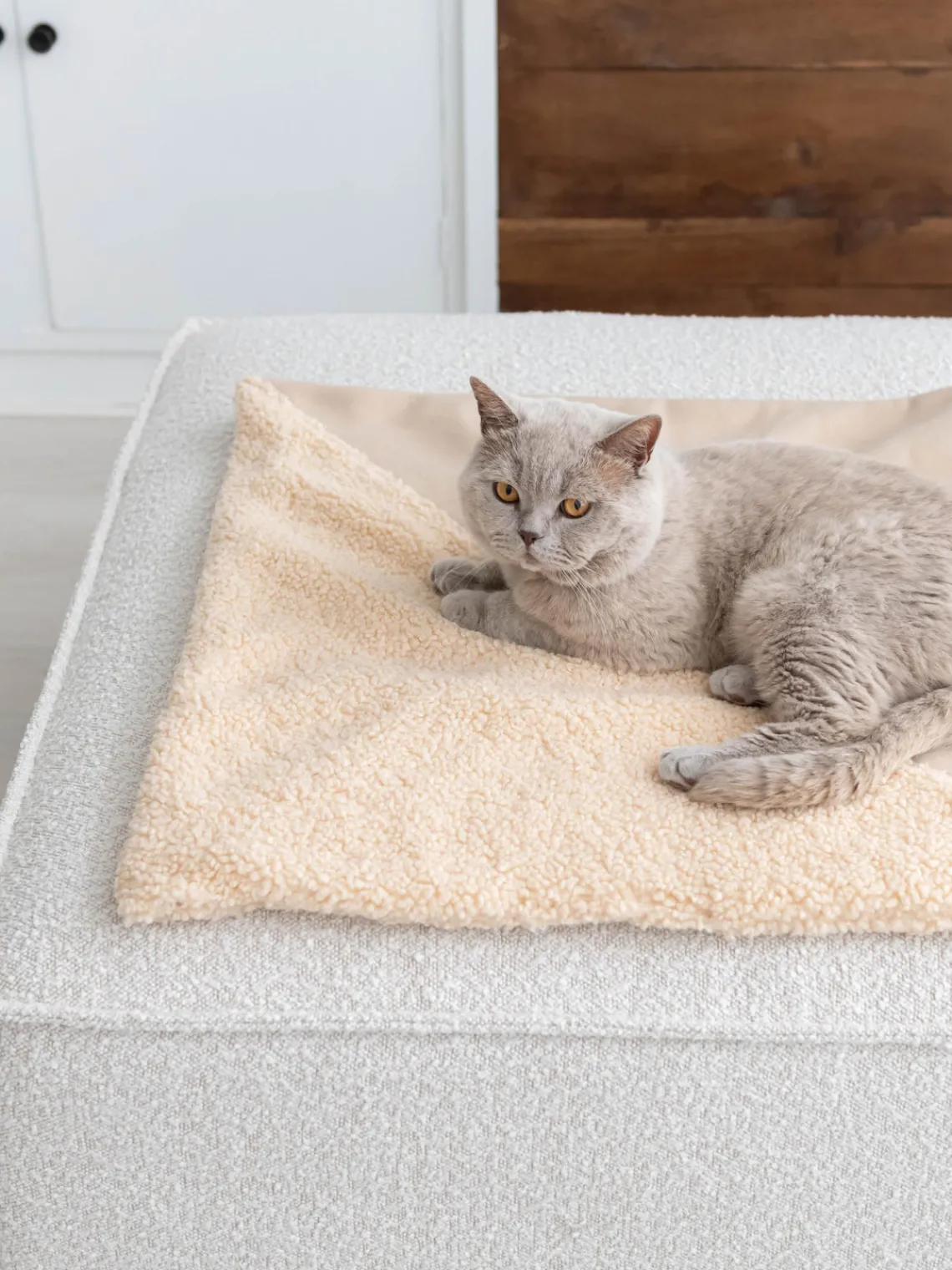 New Hoopo Couverture pour chat Tri Beige