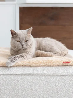 New Hoopo Couverture pour chat Tri Beige