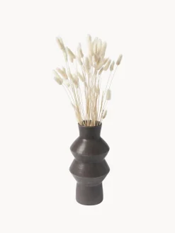 Outlet Cooee Design Fleurs séchées Lagurus Beige