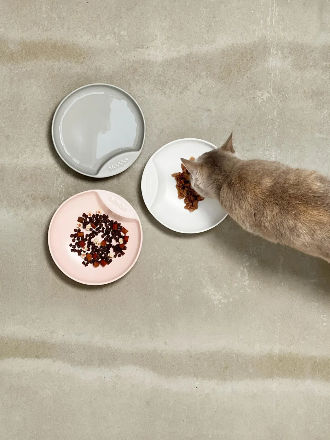 Hot Hoopo Gamelle en porcelaine pour animaux domestiques Plate Blanc