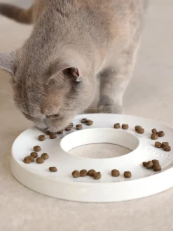 New Hoopo Gamelle en porcelaine pour animaux domestiques Ring Blanc