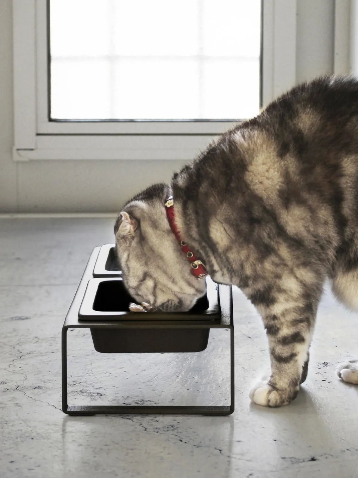 Outlet Yamazaki Gamelles pour animaux domestiques avec support Tower Noir