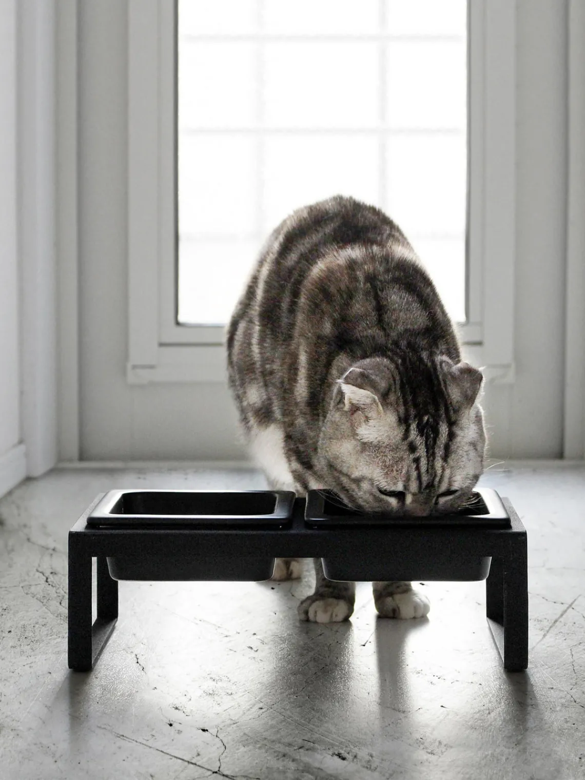 Outlet Yamazaki Gamelles pour animaux domestiques avec support Tower Noir