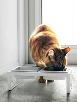 Online Yamazaki Gamelles pour animaux domestiques avec support Tower Blanc