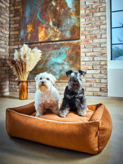 Outlet Laboni Lit pour chien en velours Classic, tailles variées Velours terracotta
