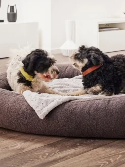 Hot Laboni Panier en bouclette pour chien Teddy, tailles variées Gris foncé