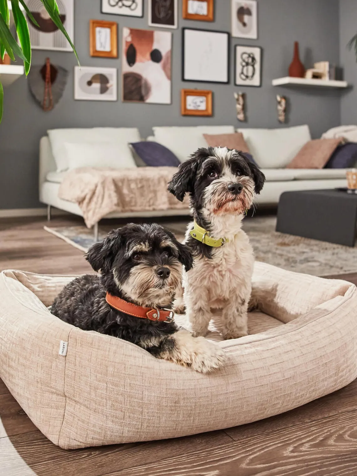 Sale Laboni Panier en velours côtelé pour chien Nova, tailles variées
