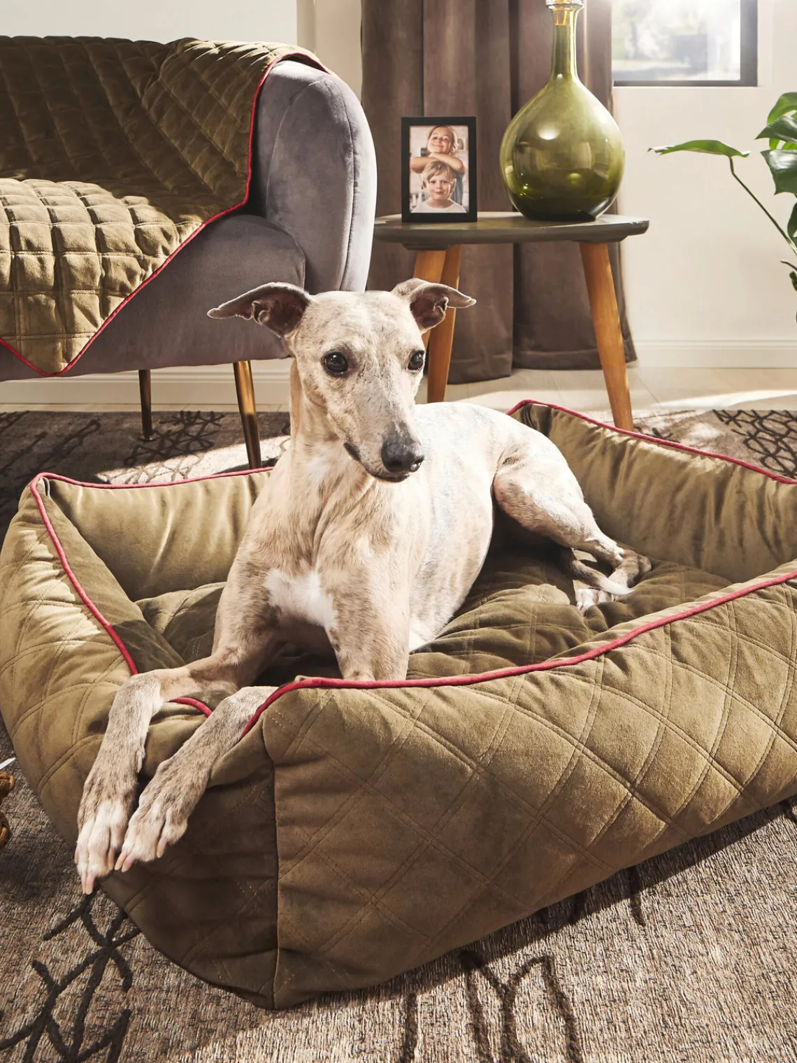 New Laboni Panier en velours pour chien Oxford, tailles variées Vert olive, lie de vin