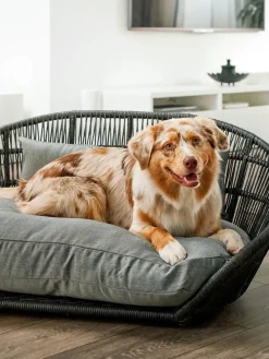 New Laboni Panier pour chien intérieur-extérieur Prado Gris, anthracite