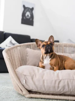 New Laboni Panier pour chien intérieur-extérieur Vogue Beige clair, beige