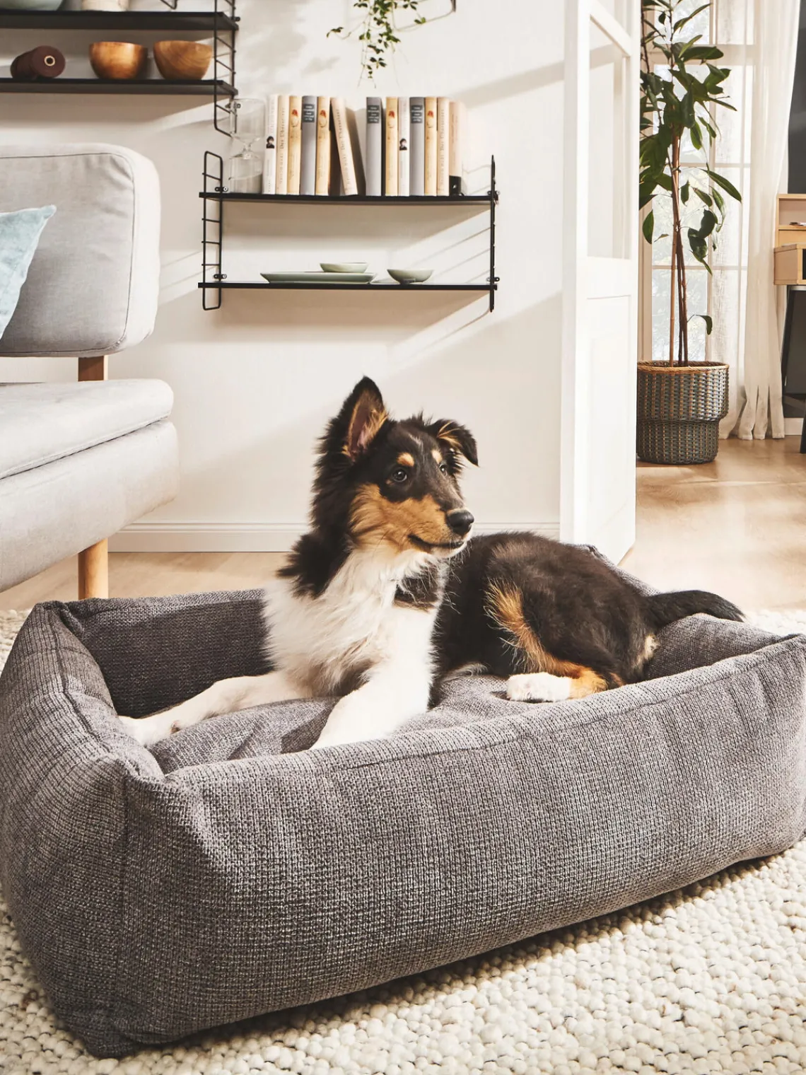 Fashion Laboni Panier pour chien Tudor, tailles variées Anthracite