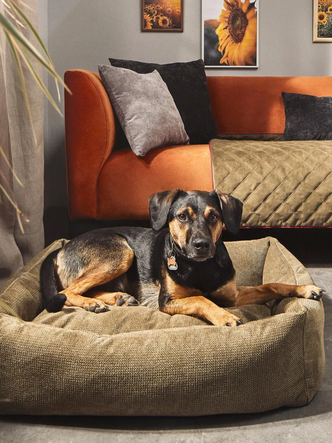 Outlet Laboni Panier pour chien Tudor, tailles variées Vert olive