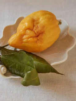 Online Meissen Plat de service artisanal en porcelaine Swan