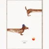 Outlet MADO Poster Doug the Dachshund