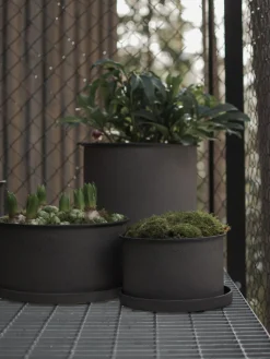 Fashion DBKD Pots de fleurs Plant, 2 élém. Taupe, mat