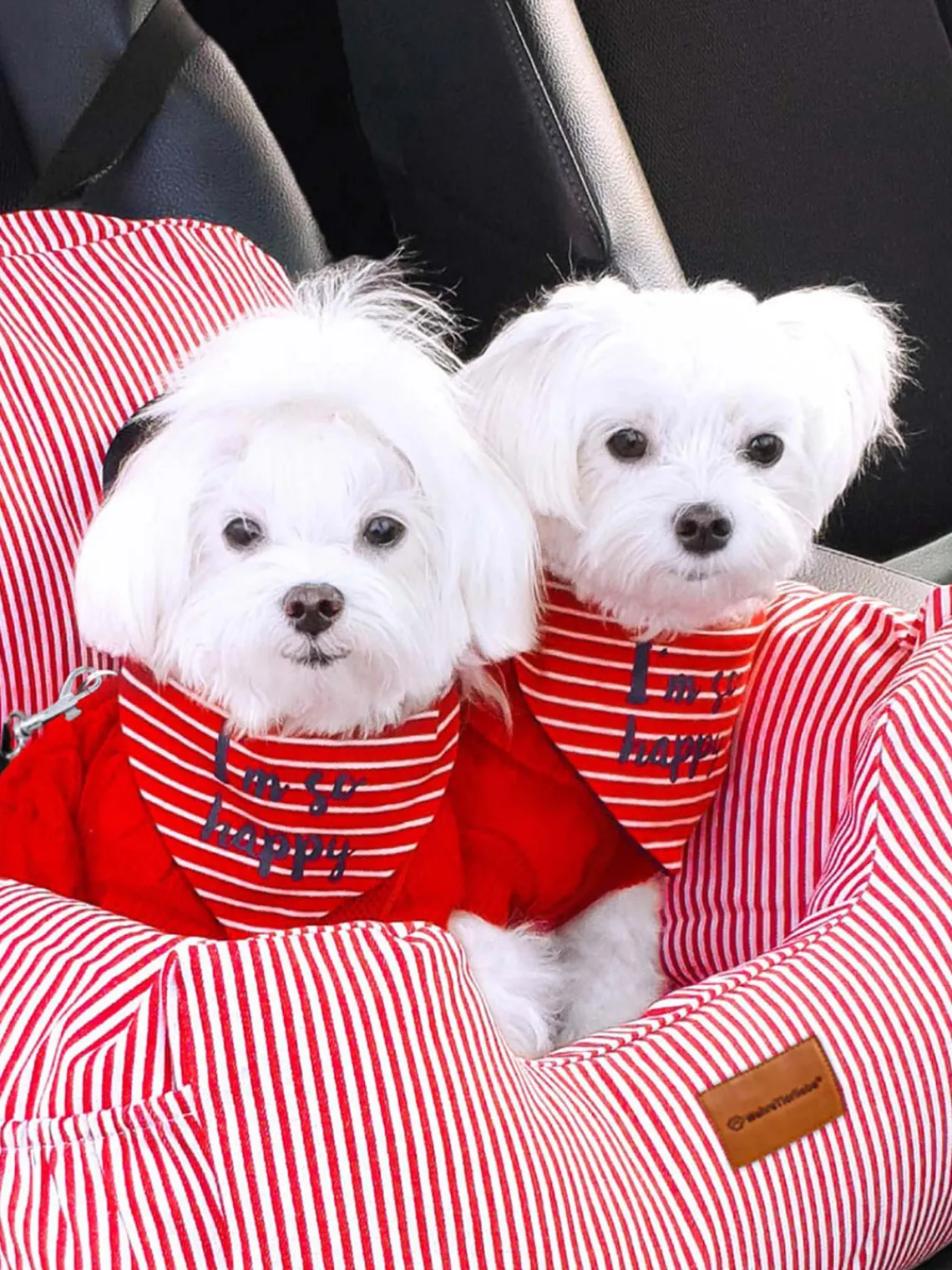 Online Wahre Tierliebe Siège auto pour animaux domestiques Premium, tailles variées Rouge, blanc