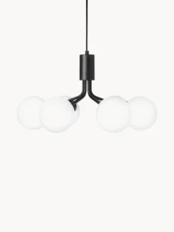 Online Nuura Suspension à boule de verre Apiales Noir, blanc