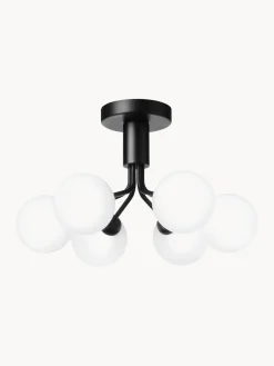 Online Nuura Suspension à boule de verre Apiales Noir, blanc