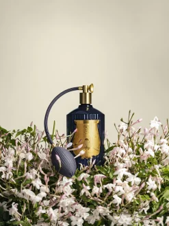 Best Trudon Vaporisateur artisanal Reggio Huile essentielle de mandarine
