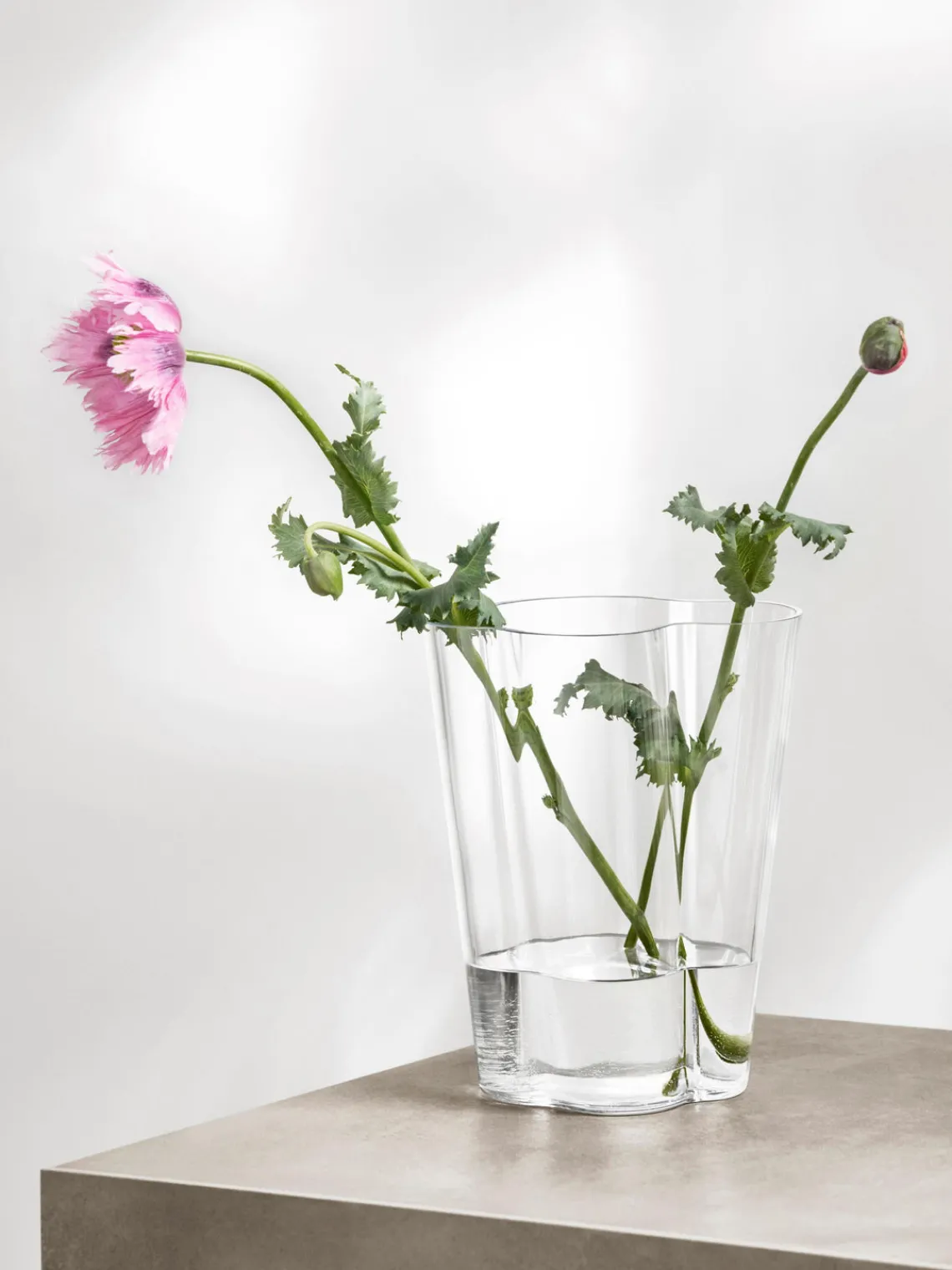 Clearance iittala Vases en verre soufflé bouche Aalto, 2 élém.