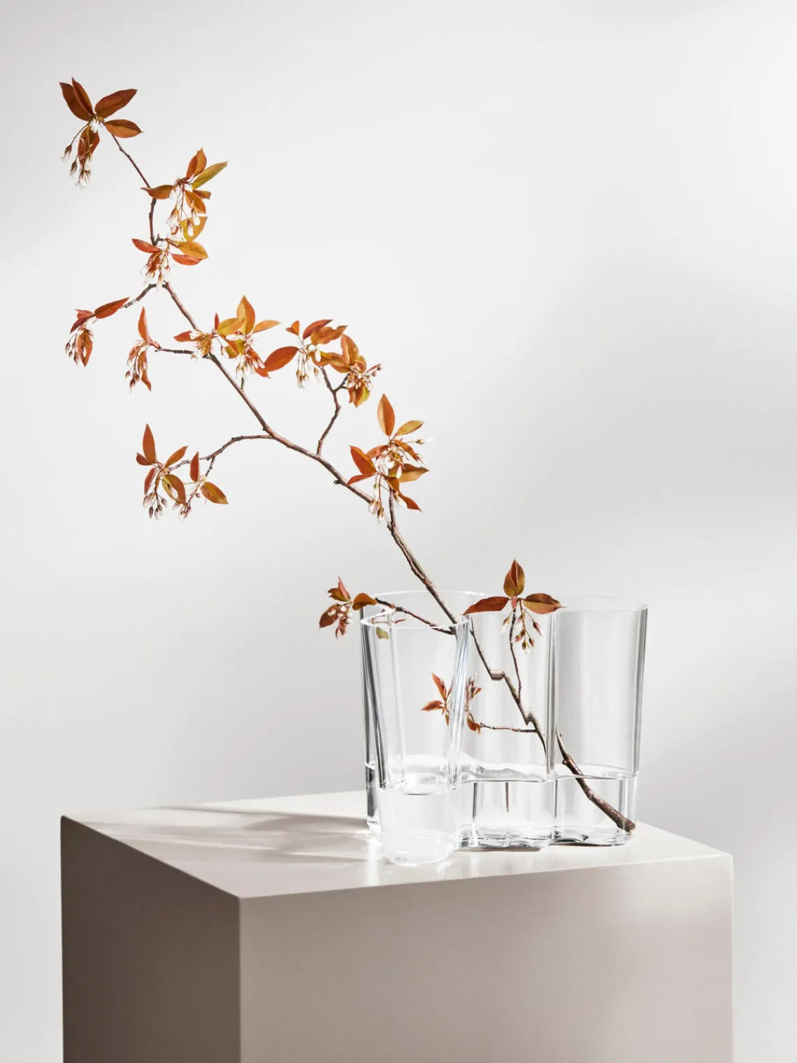 Clearance iittala Vases en verre soufflé bouche Aalto, 2 élém.