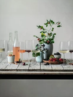Hot Zwiesel Glas Verres à vin en cristal Vivid Senses, 2 pièces